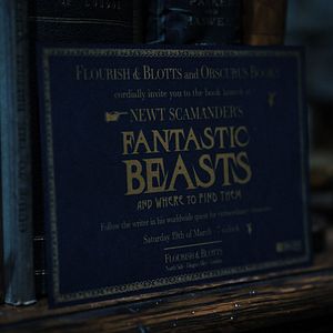 Foto Animais Fantásticos: Os Crimes de Grindelwald