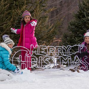 Foto Scarlett Estevez