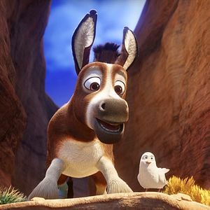 Foto A Estrela de Belém