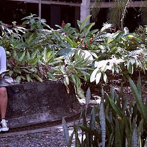 Foto Clarice: O Despertar Dos Que Sonham