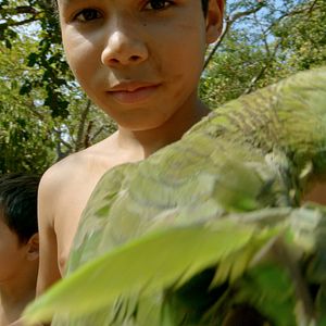 Foto Pantanal, a Boa Inocência de Nossas Origens