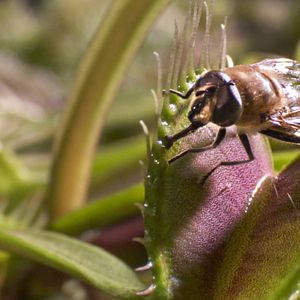 Foto Earth: One Amazing Day