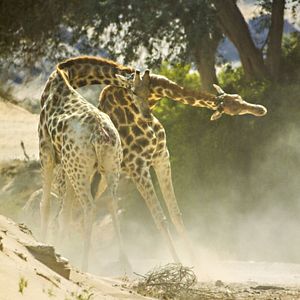 Foto Earth: One Amazing Day