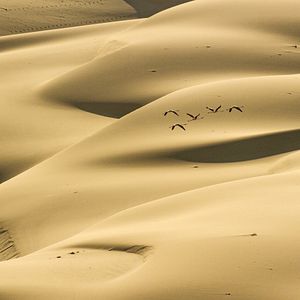 Foto Earth: One Amazing Day