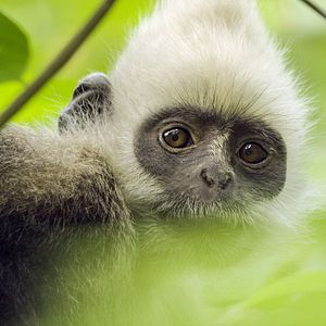 Foto Earth: One Amazing Day