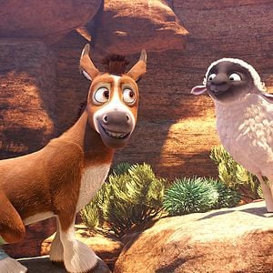 Foto A Estrela de Belém