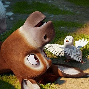 Foto A Estrela de Belém