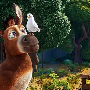 Foto A Estrela de Belém