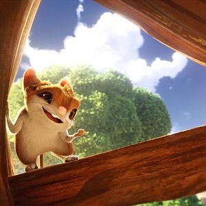 Foto A Estrela de Belém