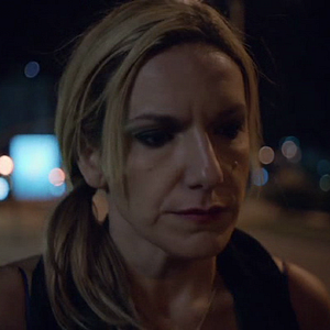 Foto Os Golfinhos Vão Para o Leste