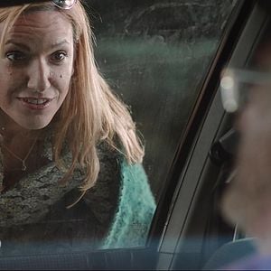 Foto Os Golfinhos Vão Para o Leste