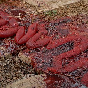 Foto Banshee Chapter