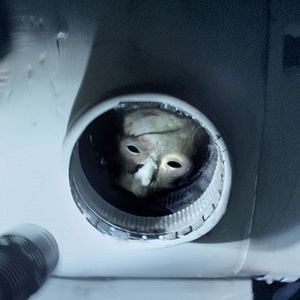 Foto Banshee Chapter