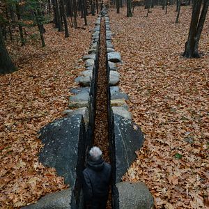 Foto Leaning Into the Wind: Andy Goldsworthy