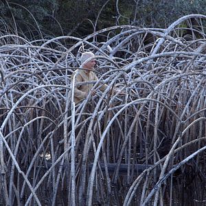Foto Leaning Into the Wind: Andy Goldsworthy