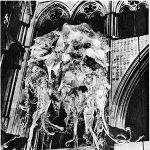 Foto The Quatermass Experiment