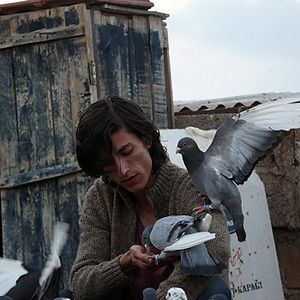 Foto O Pombo - Um Refúgio para Sobreviver