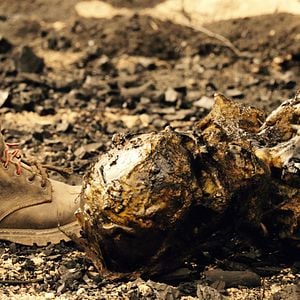 Foto Depois do Apocalipse