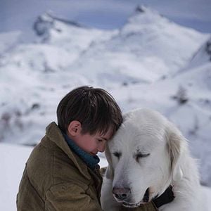 Foto Belle e Sebastian - Amigos Para Sempre