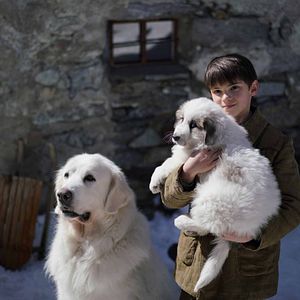 Foto Belle e Sebastian - Amigos Para Sempre