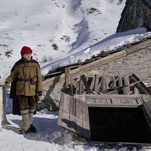 Foto Belle e Sebastian - Amigos Para Sempre