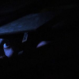 Foto Sereia Predadora