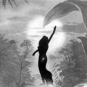 Foto Sinfonia Amazônica