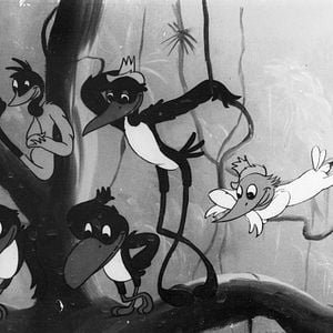 Foto Sinfonia Amazônica