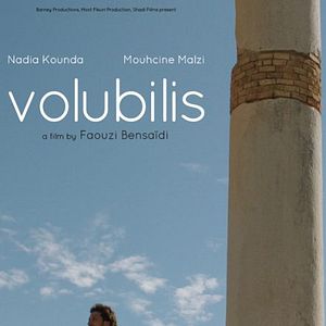 Foto Volubilis