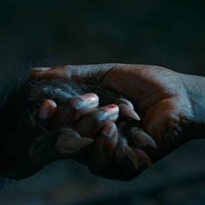 Foto As Boas Maneiras