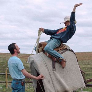 Foto Domando o Destino