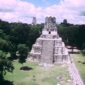 Foto In Search Of...