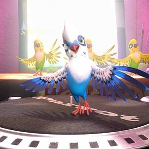 Foto Missão Cegonha