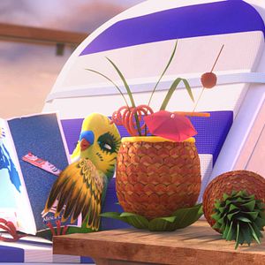 Foto Missão Cegonha