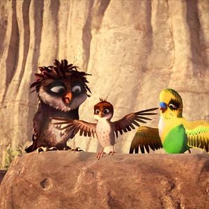 Foto Missão Cegonha