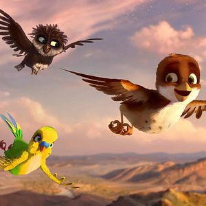 Foto Missão Cegonha