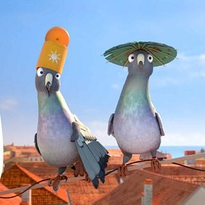 Foto Missão Cegonha