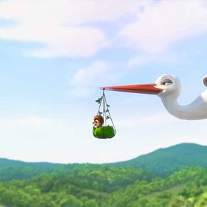 Foto Missão Cegonha