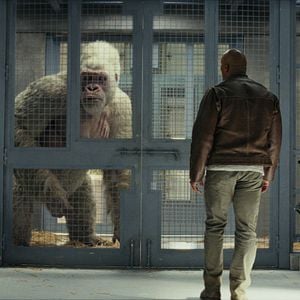 Foto Rampage - Destruição Total