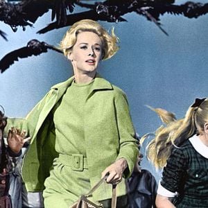 Foto Tippi Hedren