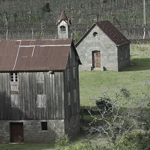 Foto Pra Ficar na História