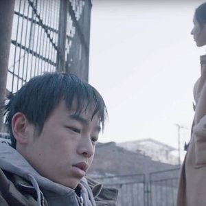 Foto Um Elefante Sentado Quieto