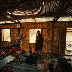 Foto Shisi Ke Ping Guo