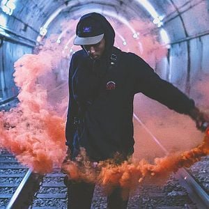 Foto Animais Sociais