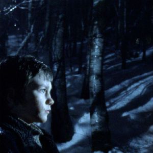 Foto A Árvore