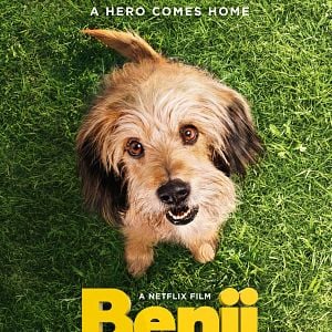 Foto Benji