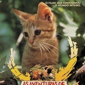 Foto As Aventuras de Chatran