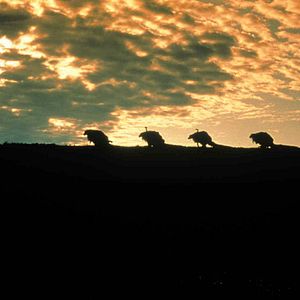 Foto O Cristal Encantado