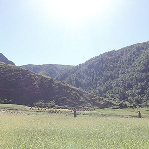 Foto Wangdrak’s Rain Boots