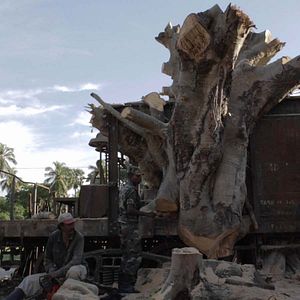 Foto Demons in Paradise